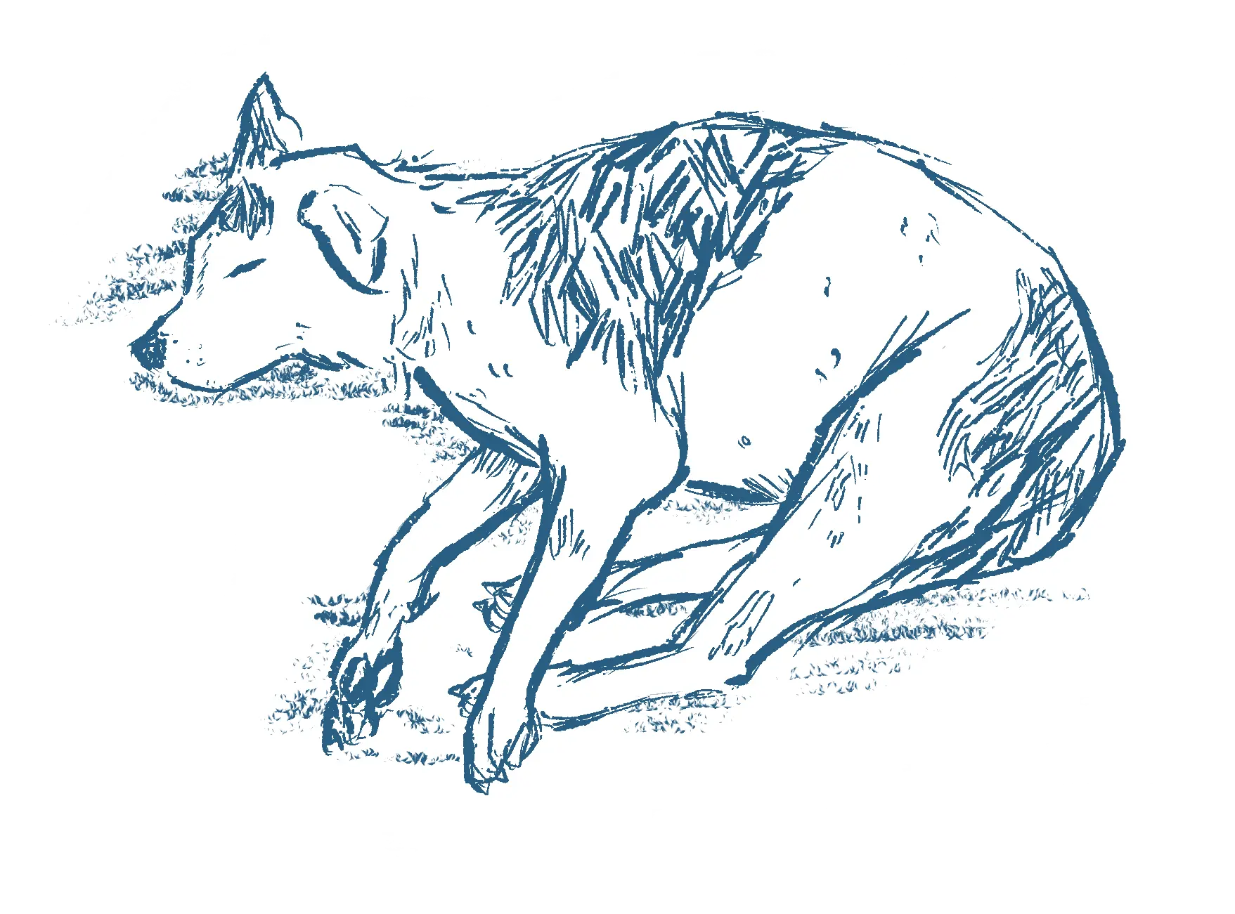 Cute Picture of Nikita